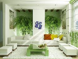 Interiors of Living Room