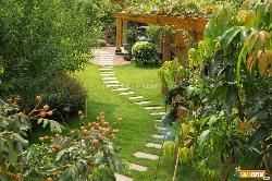 Beautiful footways in Garden 