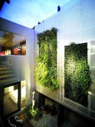 creepers on walls green building Idea Sporting green