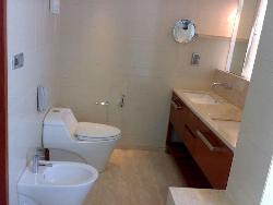 Bathroom Furniture- Wall Cabinet and Basin Interior Design Photos
