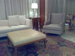 Carpet Flooring and Furniture Interior Design Photos