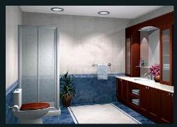 Shower Area in the bathroom Interior Design Photos