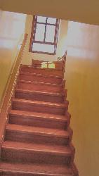 Wooden staircase Interior Design Photos