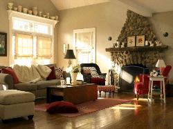 Cozy Living Area Furniture Interior Design Photos