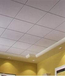 Ceiling tiles for commercial space Interior Design Photos