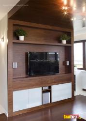 Wooden Lcd unit with decorative shelf Interior Design Photos