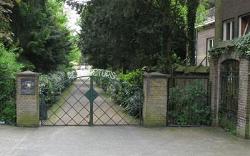 Main Gate  for plywood gate
