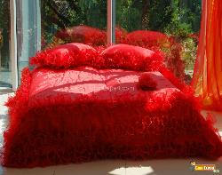 Red Bed Cover Interior Design Photos