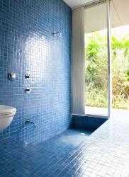 Blue theme bathroom shower tiles Interior Design Photos