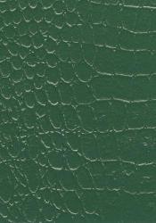 Green wall texture paint Interior Design Photos