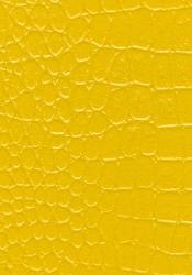 Yellow wall texture paint Interior Design Photos