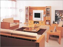 wooden cabinet Interior Design Photos