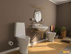 Bathroom Interior Design Photos