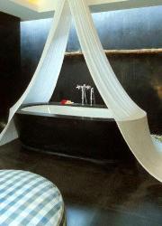 Bathroom design with canopy on bathtub Canopy