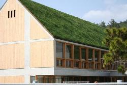 Green Roof- For Eco-Friendly Housing Solution Interior Design Photos