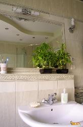 Plants in Bathroom  Interior Design Photos