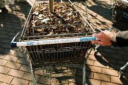 Moving Forest on Shopping Carts Carving double cart 