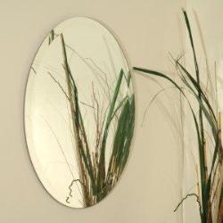 Beveled Oval Mirror Interior Design Photos
