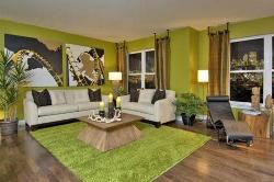 Green Living Room Decor Interior Design Photos