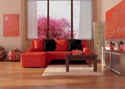 Living Room Sofa Design Interior Design Photos