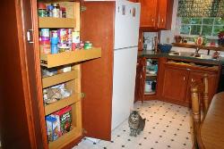 Pull out Drawers in pantry Interior Design Photos