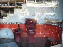 Red and White Bathroom Tile Theme Interior Design Photos