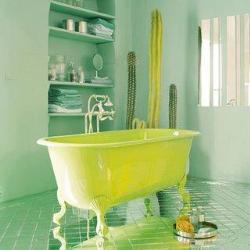 My Bathtub Interior Design Photos