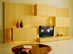 wall unit modern design with backlit drawers Interior Design Photos