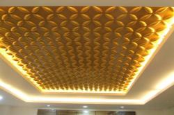 3d wall cieling  Roof cieling style