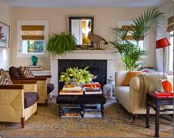 plant in living room Interior Design Photos