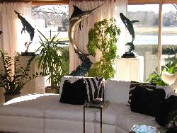 plant in living room Interior Design Photos