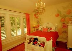 paint pattern floral design for a girls bedroom Interior Design Photos