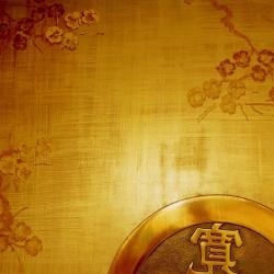 paint texture blend of golden and bronze gives a stunning look to wall Interior Design Photos