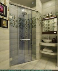 Shower enclosure gives a five star look to the bathroom 3D render with patterns on walls done using ceramic tile Five room setwith dubble bramda