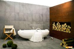 Bathroom Interior Design Photos