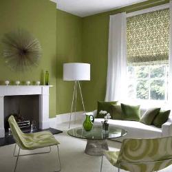 Green and white interior of living Interior Design Photos