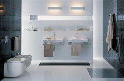 contemporary bathroom style Interior Design Photos
