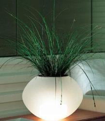 an decorative lighting lamp Interior Design Photos