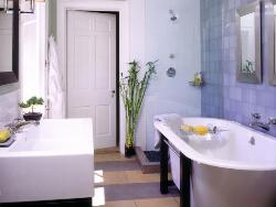 Bathroom design with antique bath tub Interior Design Photos