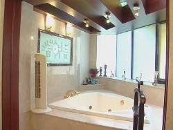 bath with jacuzzi Interior Design Photos