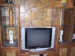 Television in Showcase Partition  with crocery showcase