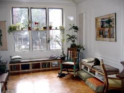 Plant In Living Room Interior Design Photos