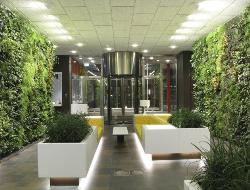 Vertical Garden Design In An Office Setting 2 Interior Design Photos