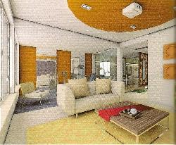 ceiling Interior Design Photos