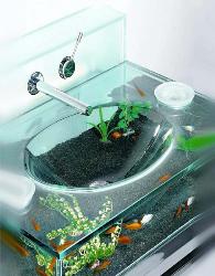 Sink in Kitchen Interior Design Photos
