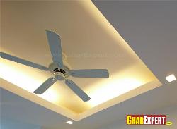 Ceiling Fan and Ceiling Lighting  for fall ceilings