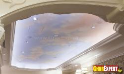 Tray Ceiling Interior Design Photos