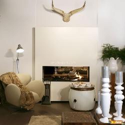 Lifestyle with Fireplace Interior Design Photos