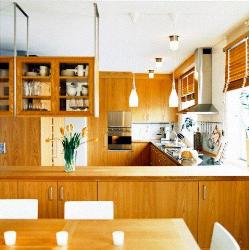 use of wood in Modern Kitchen Interior Design Photos
