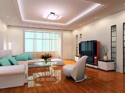 Living Room Window, Lighting and Flooring.... Interior Design Photos